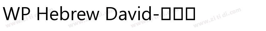 WP Hebrew David字体转换